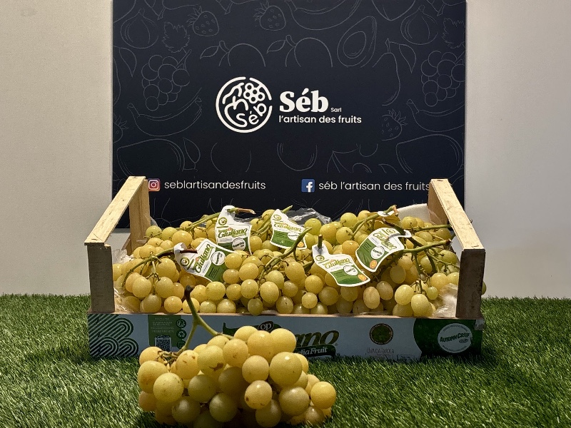 Raisin vert sans-pépins.