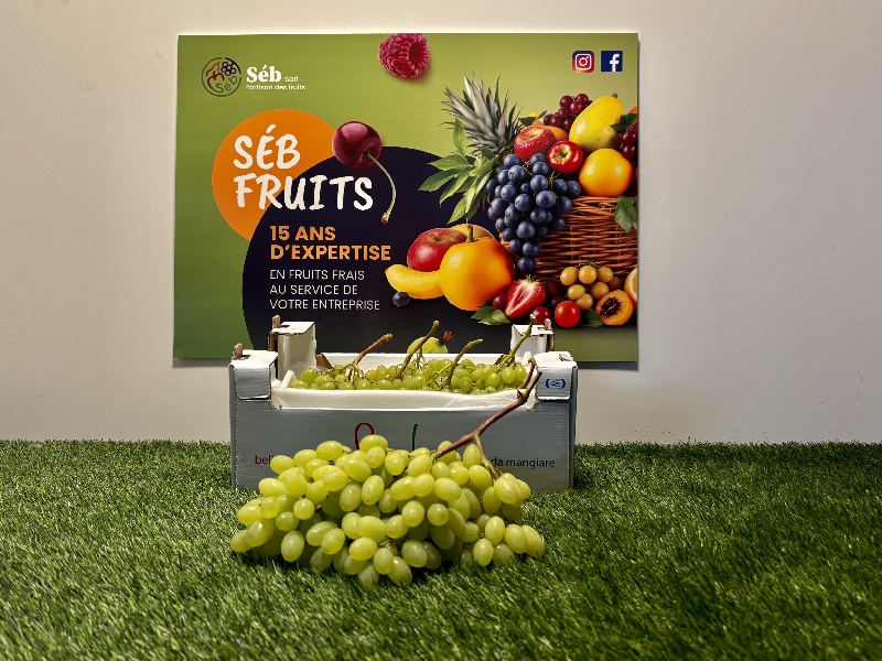 Raisin sans pépins vert