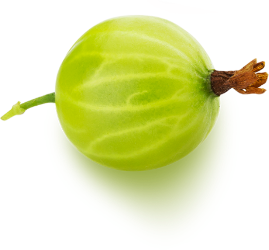 Fruit 6